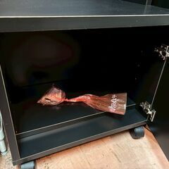 商談中【愛品館八千代店】パチスロ用キャビネットの画像