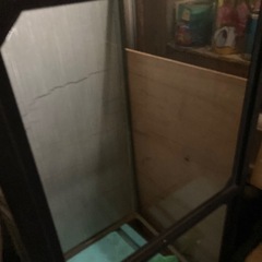 水槽の画像
