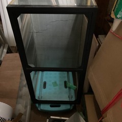 水槽の画像