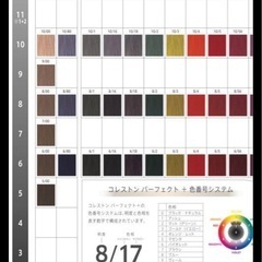 業務用カラー剤の画像