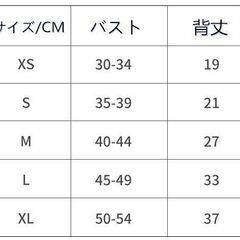 １０　【新品】犬用ウェア4着セット XS・XXSサイズ（デニムロンパース・ワンピース・シースルー）の画像