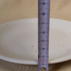 皿5枚セット(直径19cm)の画像