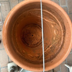 大型植木鉢プラスチックの画像