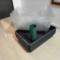 51型育苗箱✕６、種まきカバー✕６、7.5センチスリット鉢24ケ