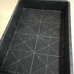 51型育苗箱✕６、種まきカバー✕６、7.5センチスリット鉢24ケ　植物の画像
