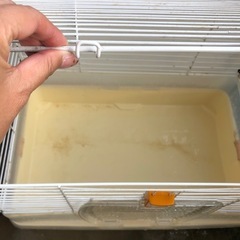 ウサギ用ケージの画像