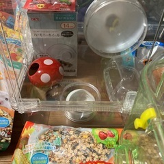ハムスター飼育セットの画像