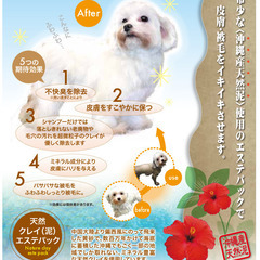 【新品】ナンビ 天然クレイ（泥）エステパック＋薬用シャンプー（2種から選択）犬用ケアセット　サロン専売品　正規販売店の画像