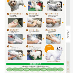 【新品】ナンビ 天然クレイ（泥）エステパック＋薬用シャンプー（2種から選択）犬用ケアセット　サロン専売品　正規販売店の画像