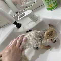 【新品】ナンビ 天然クレイ（泥）エステパック＋薬用シャンプー（2種から選択）犬用ケアセット　サロン専売品　正規販売店の画像