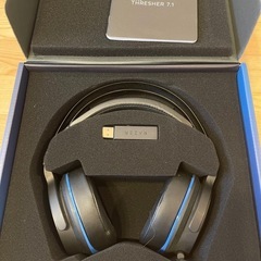 ぬ様ヘッドセット＆プーメリーの画像