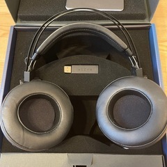 ぬ様ヘッドセット＆プーメリーの画像