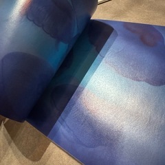 くらげ 写真集の画像
