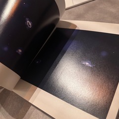 くらげ 写真集の画像