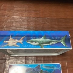 空き缶　水族館購入の画像