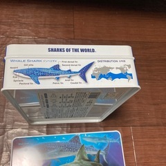空き缶　水族館購入の画像