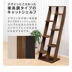 キャットシェルフあげます！の画像