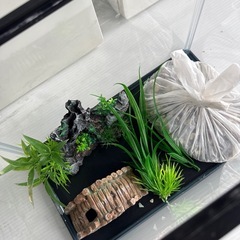 水槽　水槽セットの画像
