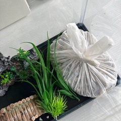 水槽　水槽セットの画像