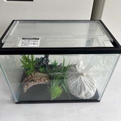 水槽　水槽セットの画像