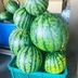 ランキングキーワードに紐づく投稿画像-多肉植物