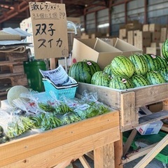 【大人気】ナイト！西瓜の詰め放題の画像