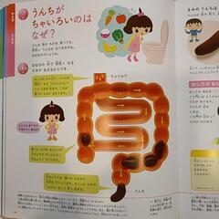 ふしぎの図鑑の画像