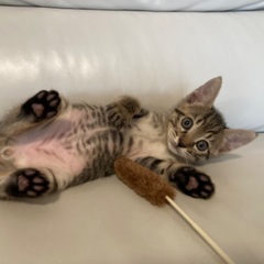 抱っこ大好き男の子