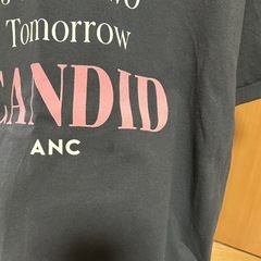 Tシャツの画像