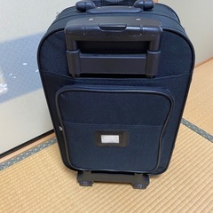 キャリーバッグの画像
