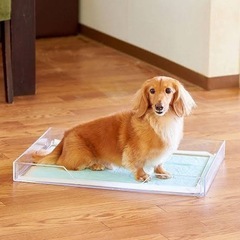 ペットトイレ⭐︎クリアレット⭐︎０円の画像