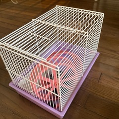 ハムスター/小動物飼育セットの画像