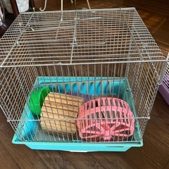 ハムスター/小動物飼育セットの画像
