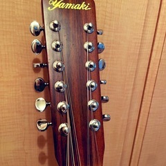 12弦ギター YAMAKI ヤマキの画像