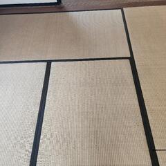 畳 1枚300円の画像