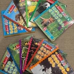学研　幼児のずかん　12冊セットの画像