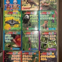サムネイル