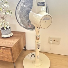 【値下げ済】美品✨SHARPプラズマクラスター扇風機　PJ-D3DGの画像