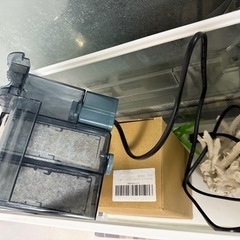 値下げした水槽(餌おまけ) の画像