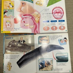 学研　幼児のずかん　12冊セットの画像