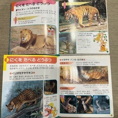 学研　幼児のずかん　12冊セットの画像