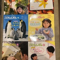 新品同様　こどものしぜん　絵本　12冊セットの画像