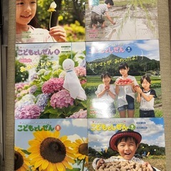 新品同様　こどものしぜん　絵本　12冊セットの画像