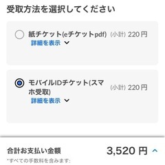 9月13日_LEVANGA_CUP自由席一日通し券の画像