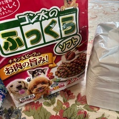 ペット用品　ペットシーツS、アクティブウェア、ボディータオル、フードとおやつの画像