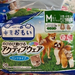 ペット用品　ペットシーツS、アクティブウェア、ボディータオル、フードとおやつの画像