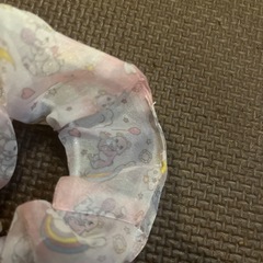 シュシュの画像