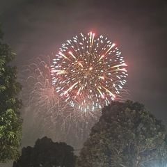 8月16日