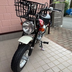 ホンダモンキー
の画像