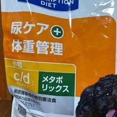 わんこのエサの画像